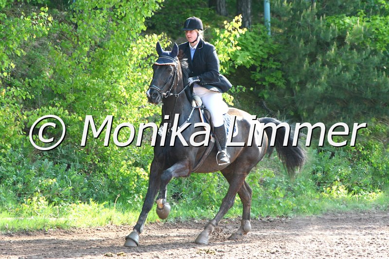 104M7753_e_Spring A.JPG